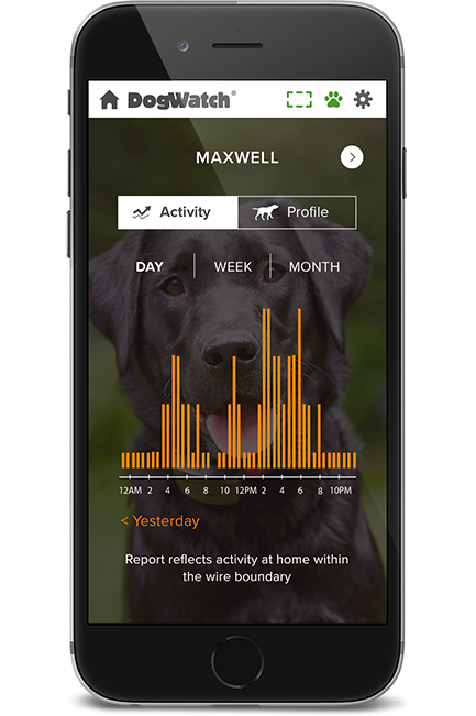 DogWatch of Santa Barbara, Santa Barbara, California | SmartFence WebApp Image