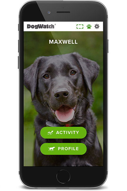 DogWatch of Santa Barbara, Santa Barbara, California | SmartFence WebApp Image