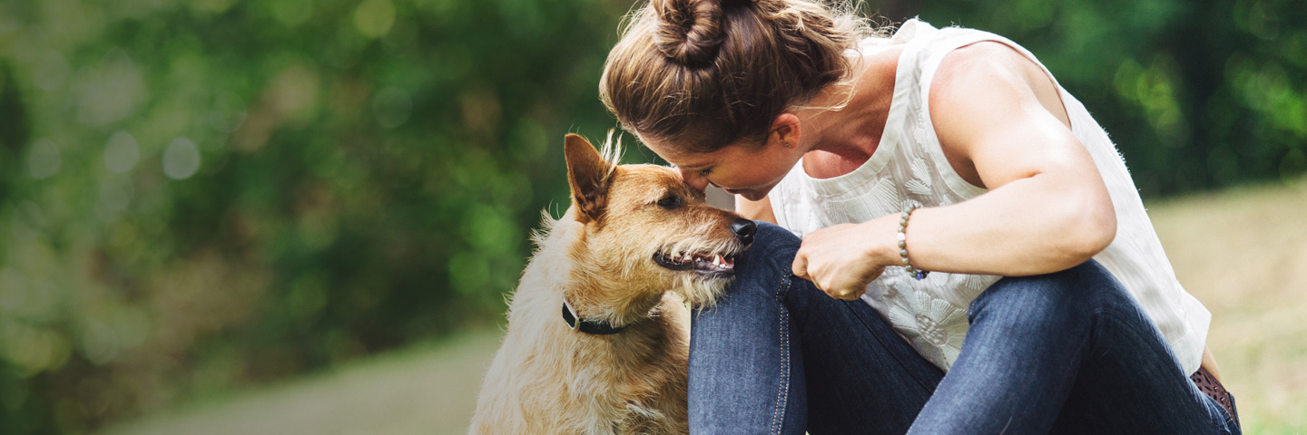 DogWatch of Santa Barbara, Santa Barbara, California | BarkCollar No-Bark Trainer Slider Image